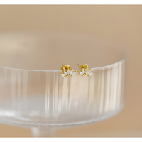 Radiant Charm Dainty Zircon Studs Earrings