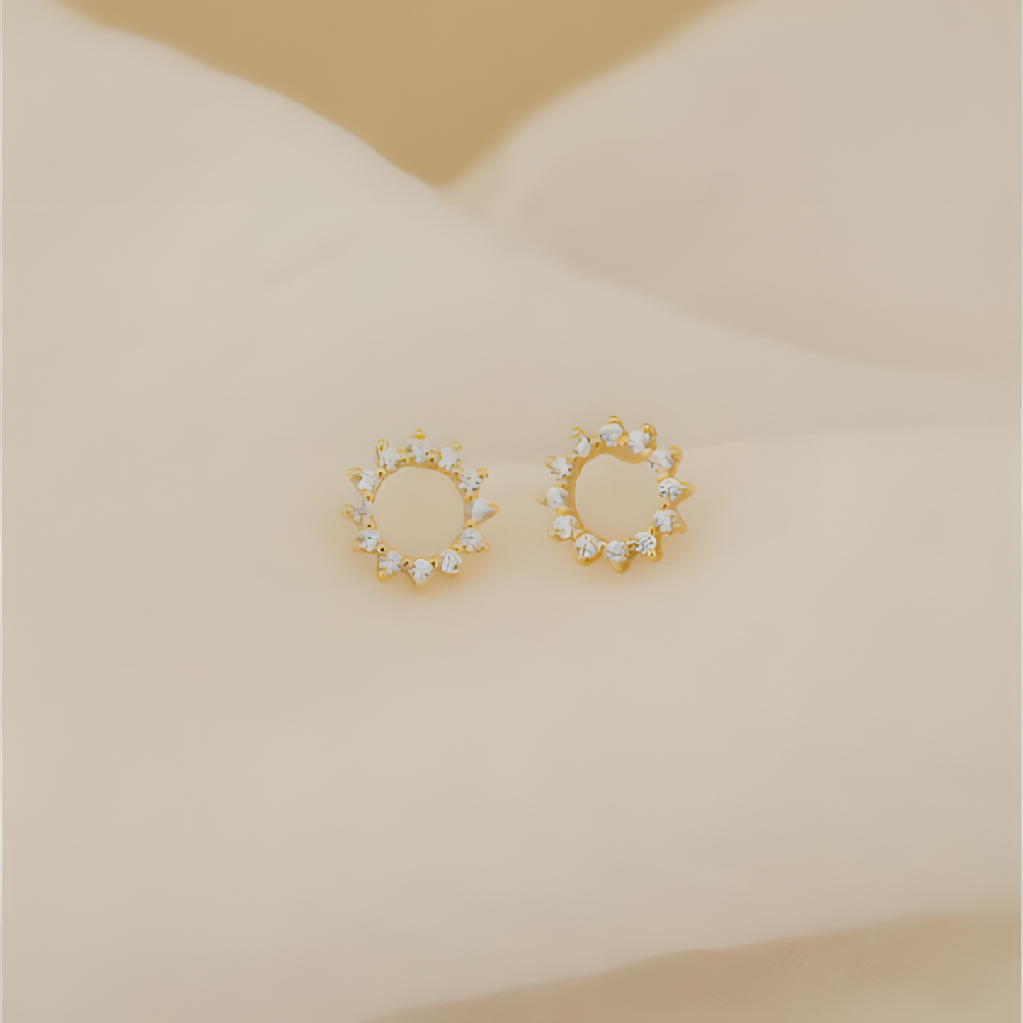 Captivating Glow Zircon Circles Earrings