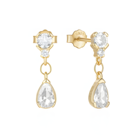 Subtle Zircon Dangle Earrings